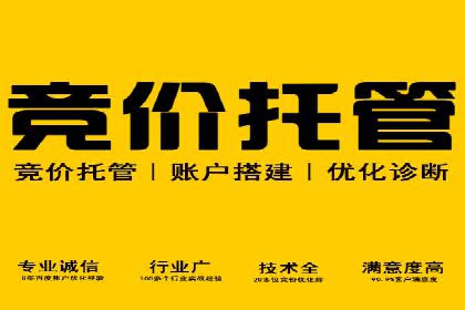 SEM托管成功案例：揭秘高效广告投放策略